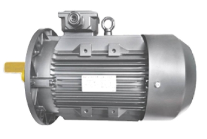 南陽防爆電機在石油化工行業(yè)的應用成功案例分析